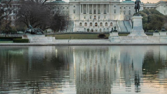 Mystery Surrounds Recent Duck Sightings at Reflecting Pool | rtp ind168, bonanza99 slot